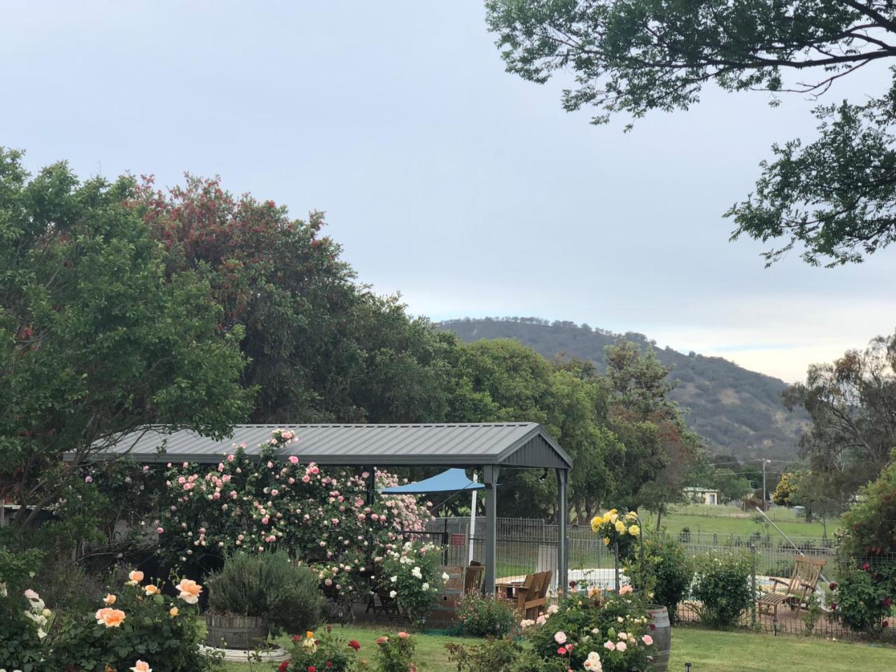 山谷美景汽车旅馆 Murrurundi 外观 照片